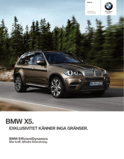 BMW X.