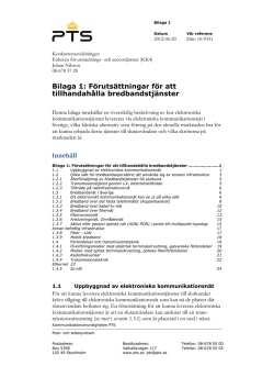 Bilaga 1: Förutsättningar för att tillhandahålla