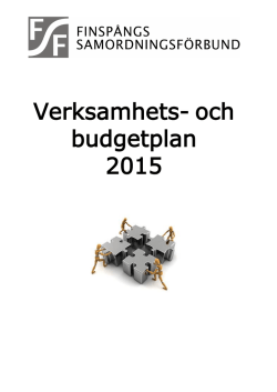 Verksamhets- och budgetplan 2015