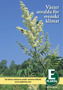 Växter utvalda för svenskt klimat