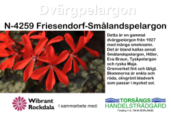 Friesendorf-Smålandspelargon