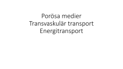 Porösa medier Transvaskulär transport Energitransport