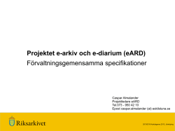 Caspar Almalander, Riksarkivet: Projektet E-arkiv och E