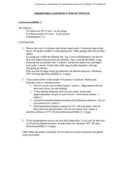 laborationsprotokoll - mikrobiologi (ink. resultatrapport).pdf