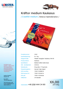 Kräftor medium Kaukasus - Lobster Seafood Sweden AB