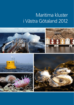Maritima kluster i Västra Götaland (pdf)