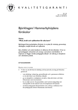 Björkhagen/ Hammarbyhöjdens förskolor