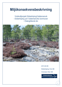 Miljökonsekvensbeskrivning 2013 (PDF 6.5 MB)