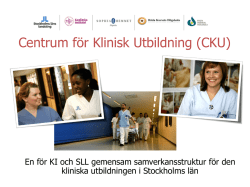 CKU-presentation (Pdf-fil, 1 Mb)