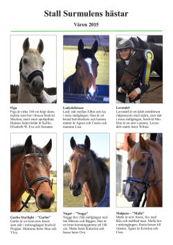 Stall Surmulens hästar Våren 2015