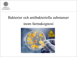 Bakterier och antibakteriella substanser inom farmakognosi