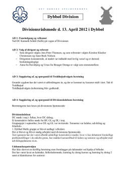 Referat DRM 2013.pdf