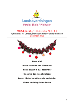 MOSEBRYG/ PILERØG NR. 13