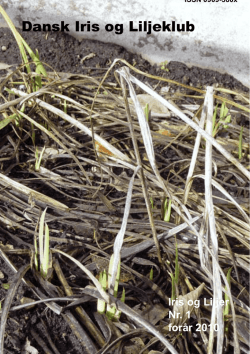 westonbirt plants - Dansk Iris og Liljeklub