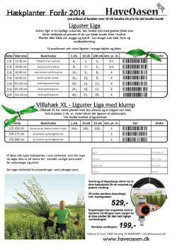 Hækplanter liguster forår 2014.xlsx