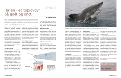 Hajen - et toprovdyr på godt og ondt (artikel)
