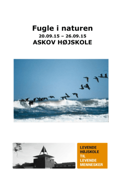 Fugle i naturen - Askov Højskole