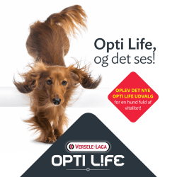 Se vores nyhed Opti life hundeserien Klik her