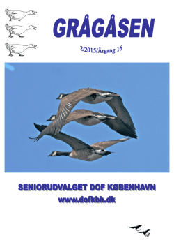 Grågåsen 2-2015.pdf