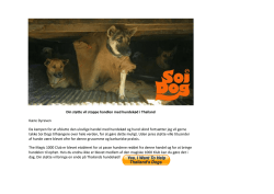 Din støtte vil stoppe handlen med hundekød i Thailand