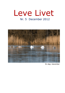 Nr. 5 December 2012 - OK-Huset Gurli