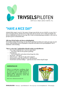 Have a nice day - Trivselspiloten