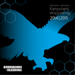 Se PDF – sponsorprospekt 2014/2015 - Bjerringbro
