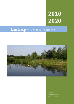 Udviklingsplan for lintrup 2010