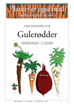 Indskolingen: Grøntsager/GULERØDDER