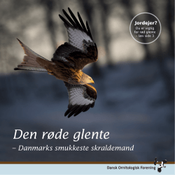 Den røde glente - Dansk Ornitologisk Forening