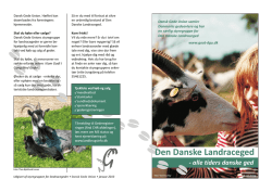 folder dansk landrace.cdr:CorelDRAW
