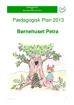 Pædagogisk Plan 2013 Børnehuset Petra