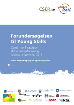 Forundersøgelsen til Young Skills