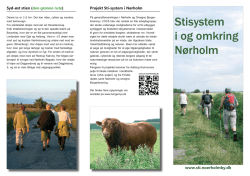Brochure - Stierne i og omkring Nørholm