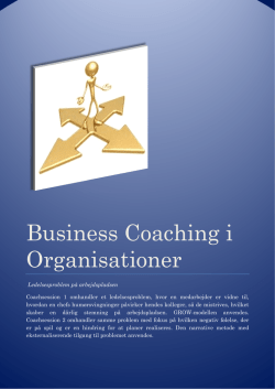 Business Coaching - Marianne Willert, B.Sc. Mech. Eng.