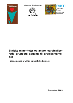Barriereranalyse - Integrationshuset Kringlebakken