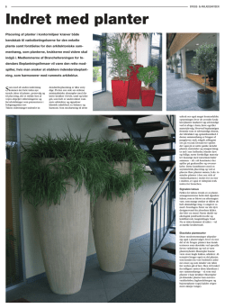 Artikel om trends indenfor indendørsbeplantning