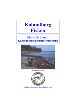 File - kalundborg Sportsfiskerforening