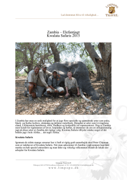 Zambia – Elefantjagt Kwalata Safaris 2015
