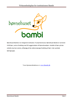 Virksomhedsplan for institutionen Bambi