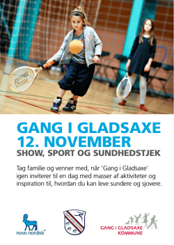 GANG I GLADSAXE 12. NovEmbEr