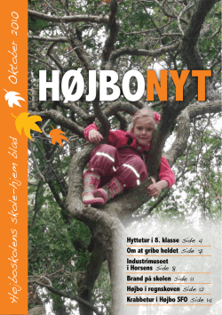 Hoejbonyt_oktober10