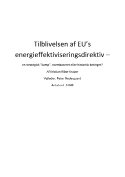Tilblivelsen af EU`s energieffektiviseringsdirektiv –