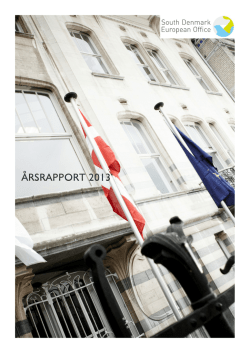 Årsrapporten - Det Syddanske EU