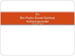En Bio-Psyko-Social-Spirituel forklaringsmodel af Terence T. Gorski