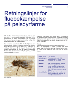 Retningslinjer for fluebekæmpelse på pelsdyrfarme