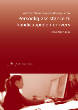 Personlig assistance til handicappede i erhverv