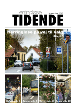 Tidende November 2013 - HH