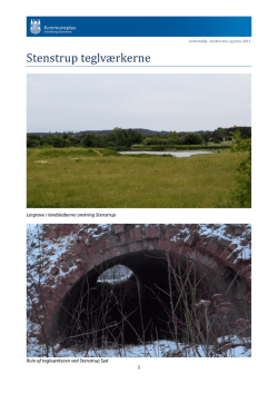 1 Lergrave i landskaberne omkring Stenstrup Ruin af teglværksovn