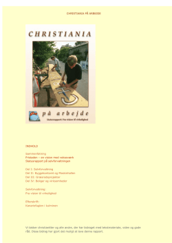 Status Rapporten – Christiania på Arbejde 2003 (PDF)